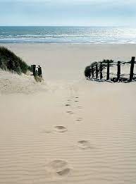 Don T Call Me Betty Beautiful Beaches Beach Life Ocean Beach