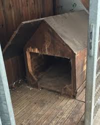 Alletjut On Instagram Wenn Es Mal Zeit Fur Ein Reparatur Hund Hundehutte Woodworking Wood Holz Haus Garten Lustauf In 2020 Hundehutten Holzarbeiten Holz
