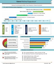 Vamsi Krishna Pictocv Infographic Resume Graphic Resume Project Manager Resume