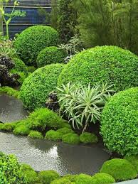 A Beautiful Pathway Planting Repeating The Orb Shape In Differing Sizes Garten Gruner Garten Gartendekoration