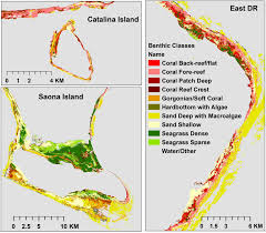 Motion detector lights are an inexpensive way to upgrade your home's appearance, safety, and accessibility all in one go. Remote Sensing Free Full Text Object Based Mapping Of Coral Reef Habitats Using Planet Dove Satellites