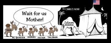 It will want to occupy the whole tent in 2, 3 or 4 elections down the road.' jayakumar warned in his book that a revolving door system, in which one party competes constantly against an opposition party, or a coalition of such parties, would be a. Montgomery Granger On Twitter Ilhan Omar Is A Domestic Enemy Islam Theocracy Which Is Incompatible With Democracy A Constitutional Republic And The Constitution Of The United States The Camel S Nose Is