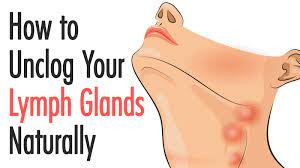 How To Unclog Your Lymph Glands Naturally