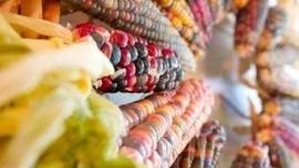 Glass Gem Corn Wreath Workshop
