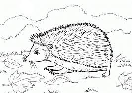 Malvorlagen Zum Drucken Ausmalbild Igel Kostenlos 4 Igel Ausmalbild Schnittmuster Fur Stofftiere Ausmalen