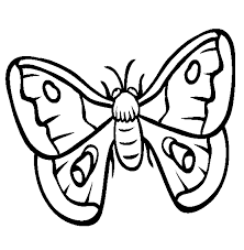 Fun, easy & free to print. Moth Coloring Page Animals Town Animal Color Sheets Moth Picture