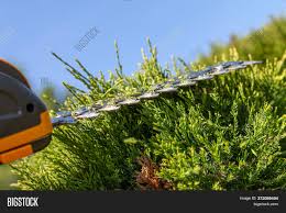 We did not find results for: Sharp Blades Compact Image Photo Free Trial Bigstock