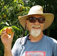 What are good camping options in or around Gettysburg, PA?