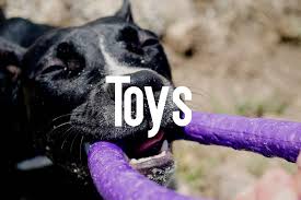 With the largest listings of categories online in canada, yellow pages.ca is your first choice for. Social Pets Pet Supplies Dog Grooming