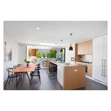 Stunning new luxury residence in Annandale