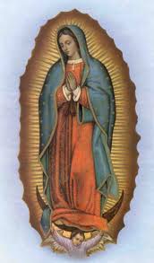 Hidden Messages Revealed In Our Lady Of Guadalupe Image Free Gift For End Times During the feast of guadalupe, held every year from dec. hidden messages revealed in our lady of