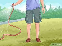 How To Take Care Of Your Lawn (With Pictures) - Wikihow
