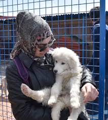Genc Iletisimcilerden Hayvan Barinagi Na Ziyaret Erzurum Buyuksehir Belediyesi
