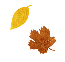 To created add 11 pieces, transparent falling leaves transparent images of your project files with the background cleaned. Fall Autumn Sticker By Lara Paulussen For Ios Android Giphy