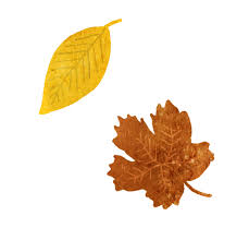Look at links below to get more options for getting and using clip art. Leaves Falling Transparent Gif Autumn Gif On Tumblr Black And White Snowfall Clipart