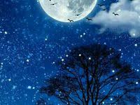 150 Ide Night Sky Langit Malam Pemandangan Latar Belakang