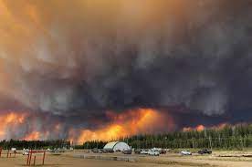 The alberta government said the massive blaze in the province will cover more than 200,000 hectares (495,000 acres) by sunday and continue to grow because of high temperatures, dry chad morrison of alberta wildfire said it's not uncommon to fight such an inferno in forested areas for months. Wildfires Forcing 10 000 People From Their Homes In Alberta News 1130