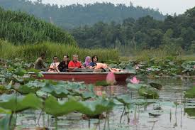 Tasik semula jadi di malaysia. Tasik Chini Tasik Semula Jadi Kedua Terbesar Malaysia Bakal Diwartakan Sebagai Taman Negeri Pahang Yang Baru Libur