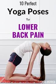 Pin On Health