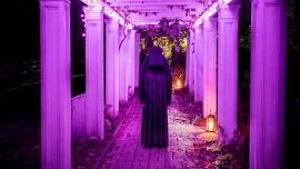 Spirits of the Past: A Walk in the Dark