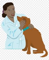 We did not find results for: Vet Clipart Transparent Veterinarian Clipart Transparent Free Transparent Png Clipart Images Download