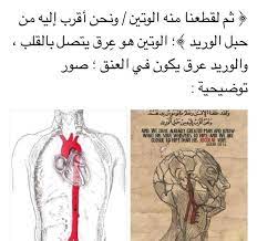 desertrose aayat bayinat sayings closer faith