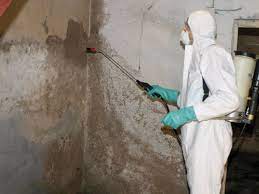 Fachgerechte Schimmelpilzbeseitigung | Saint-Gobain Weber