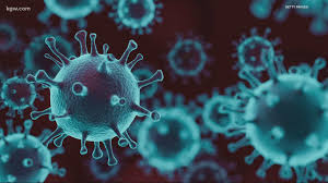 The majority of that group described the symptoms. Have An Upset Stomach Here S When To Get Checked For Covid 19 Kgw Com