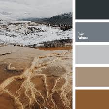 Add differing amounts of each color to slightly change the hue of your brown paint. Brown And Black Color Palette Ideas