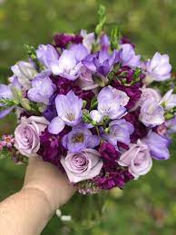 Pin On Flowers