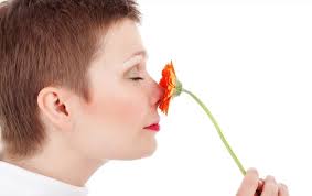 Najjednostavnije stvari koje možete da uradite kako bi olakšali sebi tegobe  od zapušenog nosa Zapušen nos izaziva teškoće u disanju i glavobolje, a  najteže je noću kad se zbog tegoba često budimo