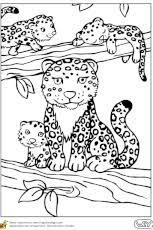 coloriage bebe animaux panthere et son petit bebes de la ferme a colorier shopkins saison 1