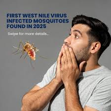 West Nile virus found in Cumberland County