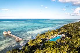 Image result for Melia