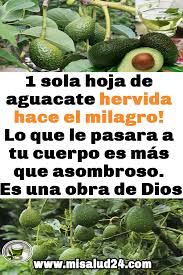 1 Sola Hoja De Aguacate Hervida Hace El Milagro Lo Que Le Pasara A Tu Cuerpo Es Mas Que Asombroso Es Una Obra De Dios Remedio Sprouts Brussel Sprout Brussel