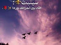 فديتهم العيون البنيه انا Beautiful Words Romantic Quotes Sweet Words