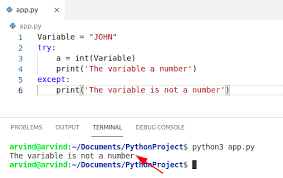 Here, isinstance () will check if a variable is an integer or not and if it is an integer then it will return true otherwise false. Python Check If A Variable Is A Number Python Guides