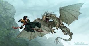 A fun and humorous chapter by chapter summary broken into tasty tidbits that you can digest. Harry Fighting His Dragon In The Goblet Of Fire Harry Potter Fan Art Harry Potter Actors Harry Potter Art