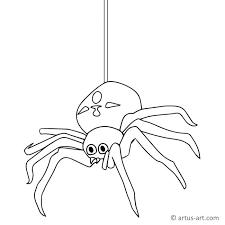 Spinne Ausmalbild Gratis Ausdrucken Ausmalen Artus Art
