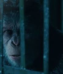 War for the planet of the apes is the 2017 sequel to 2011's rise of the planet of the apes. 30 War For The Planet Of The Apes Watch Free Online Ideas Planet Of The Apes Apes War