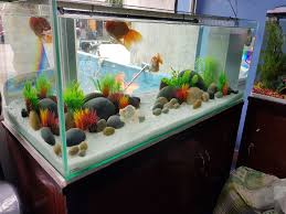 It was in august of 1969 that aquatics unlimited first opened its doors on the corner of 95th street and greenfield avenue in west allis. Kalpana Aquarium And Pets Shop Home Facebook