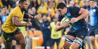 From wikimedia commons, the free media repository. Guido Petti Set To Join Bordeaux Americas Rugby News