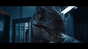 Best V Universal Adventures Gifs Gfycat See more ideas about jurassic park, jurassic, jurassic park world. gfycat