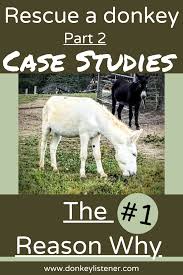 Rescue Donkeys Part 2 Donkey Rescue Donkey Care Animal Quotes