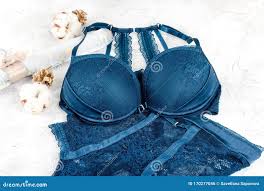 女人内衣由胸罩和内裤组成库存照片. 图片包括有女用贴身内衣裤, 特写镜头, 比赛, 短内裤, 蓝色- 170277046