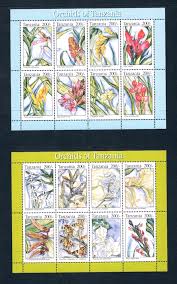 Image result for Centrostigma