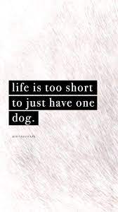 Free Resources Dog Quotes Funny Dog Quotes Best Dog Quotes