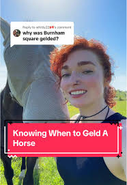 Burnham Square Horse Winning