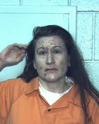 11-hour standoff ends with Canadensis woman in jail; child in protective  custody