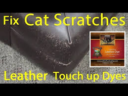 How To Touch Up Cat Scratches On Leather Leather Dye Repair Kit